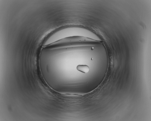 X0000113540684200910091244