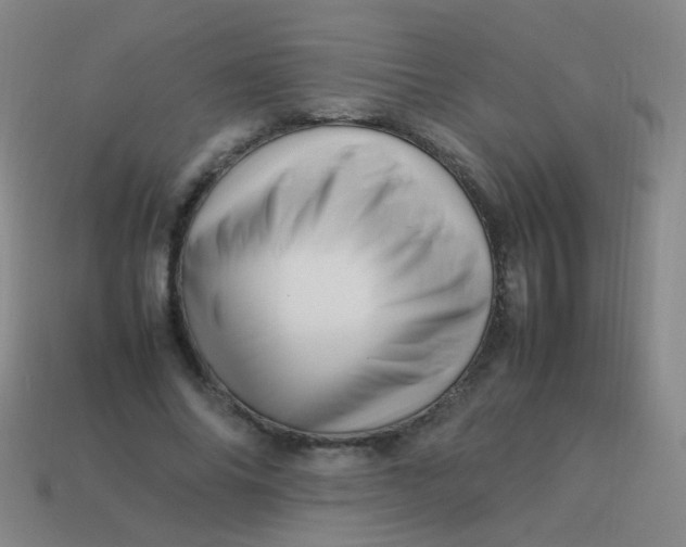 X0000113540686200910091243