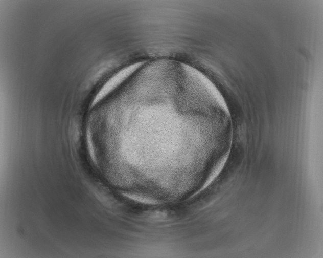 X0000113540687200910091243