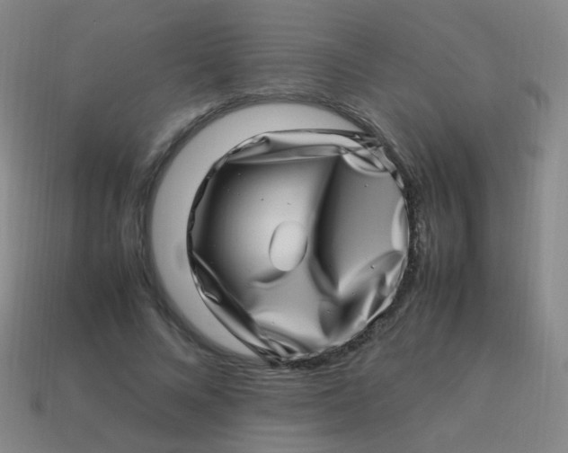 X0000113540688200910091243