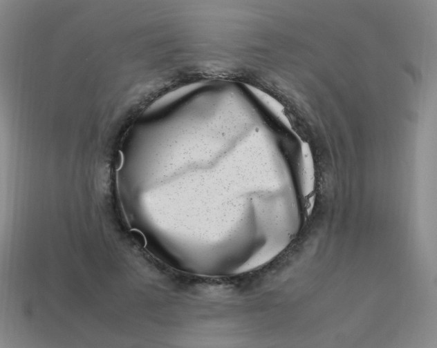 X0000113540689200910091243