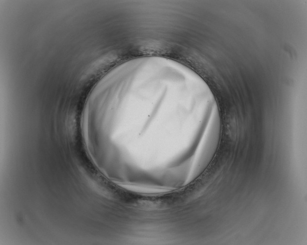 X0000113540690200910091243