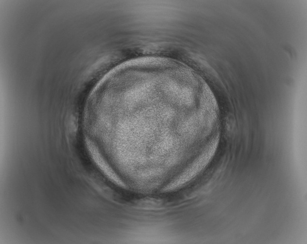 X0000113540691200910091243