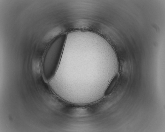 X0000113540692200910091243