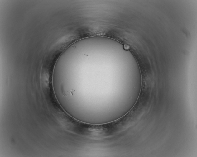 X0000113540693200910091243