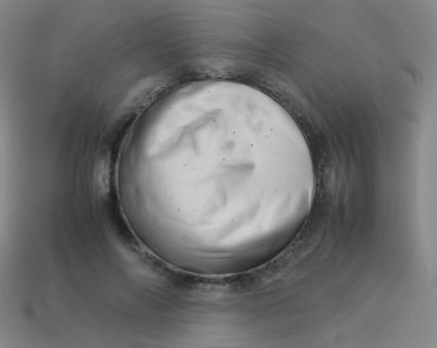 X0000113540694200910091243