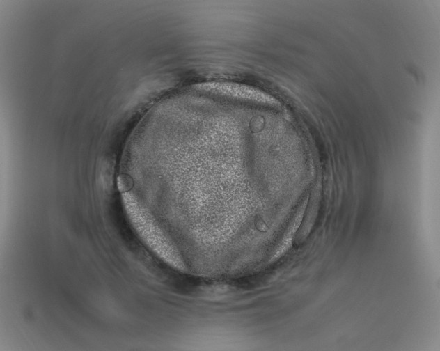 X0000113540695200910091243