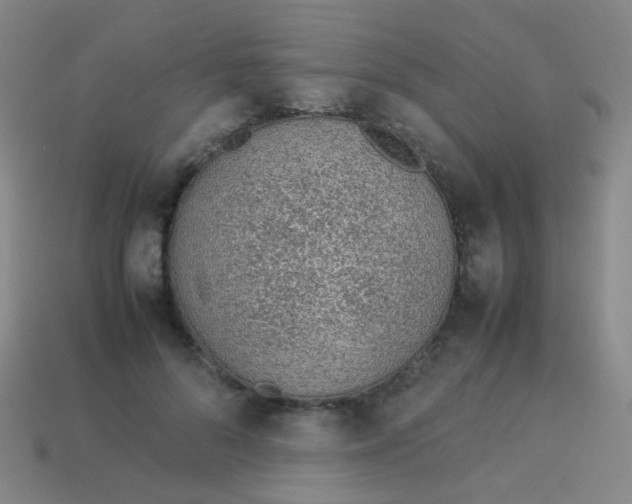 X0000113540696200910091243