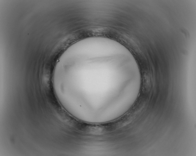 X0000113540698200910091243