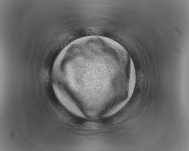 X0000113540699200910091243