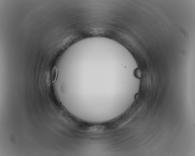 X0000113540700200910091243