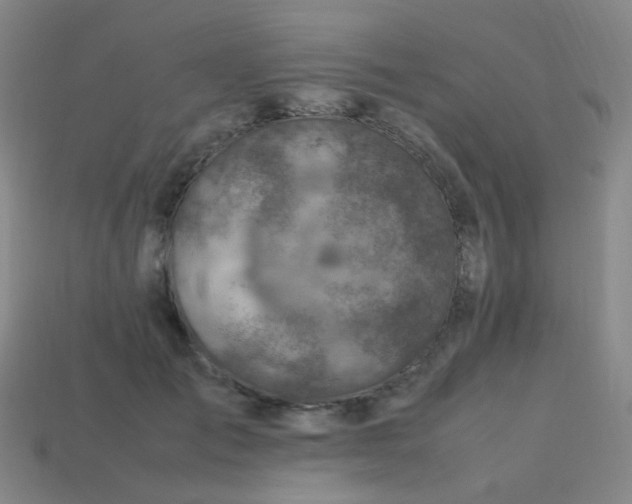 X0000113540701200910091243