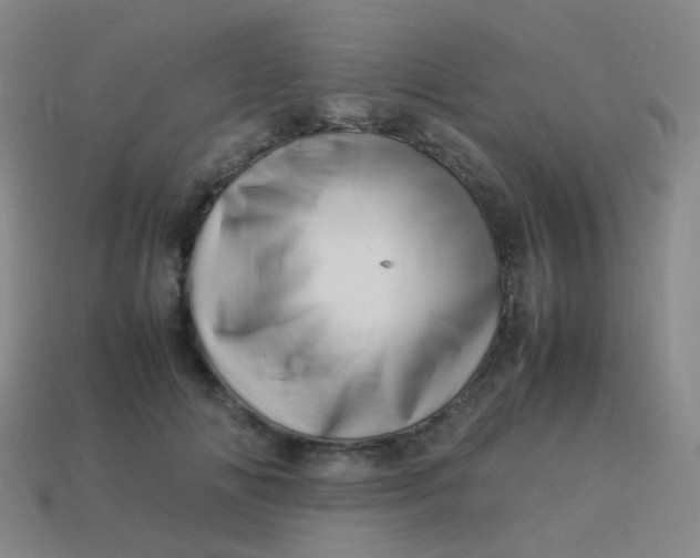 X0000113540702200910091243