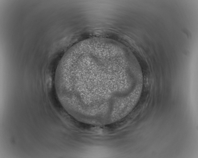 X0000113540703200910091243