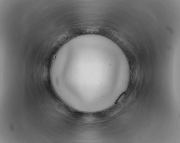 X0000113540704200910091243