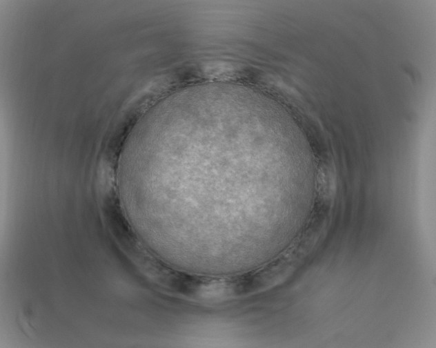 X0000113540705200910091243