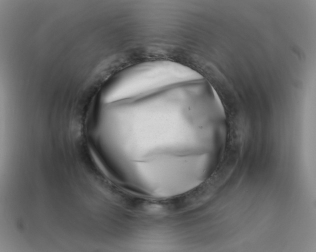 X0000113540706200910091243