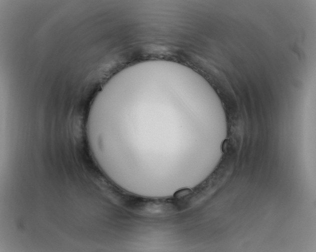 X0000113540708200910091243