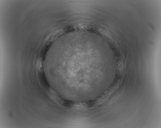 X0000113540709200910091243