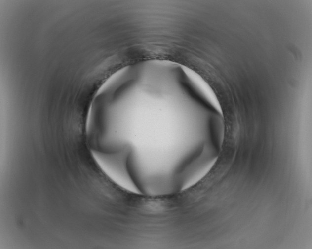 X0000113540710200910091243