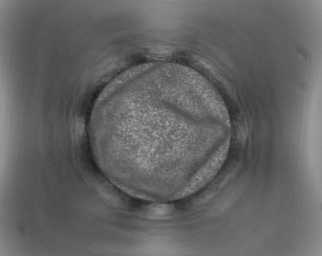 X0000113540711200910091243