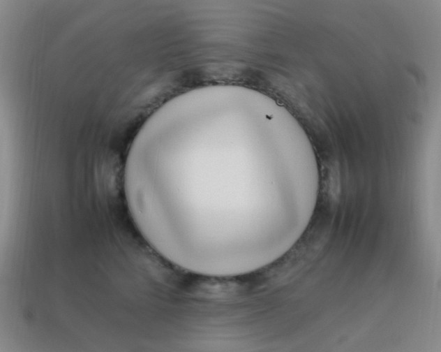 X0000113540712200910091243