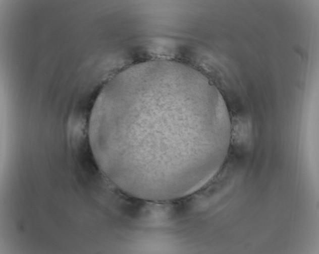 X0000113540713200910091243