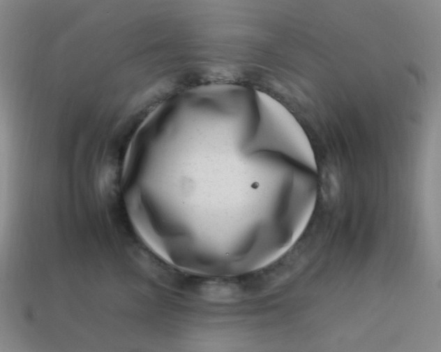 X0000113540714200910091243