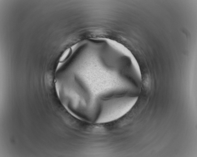 X0000113540715200910091243