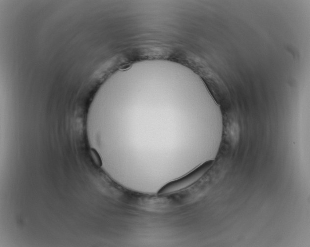 X0000113540716200910091243