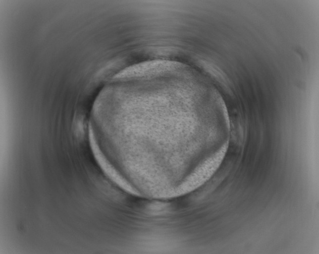 X0000113540718200910091243