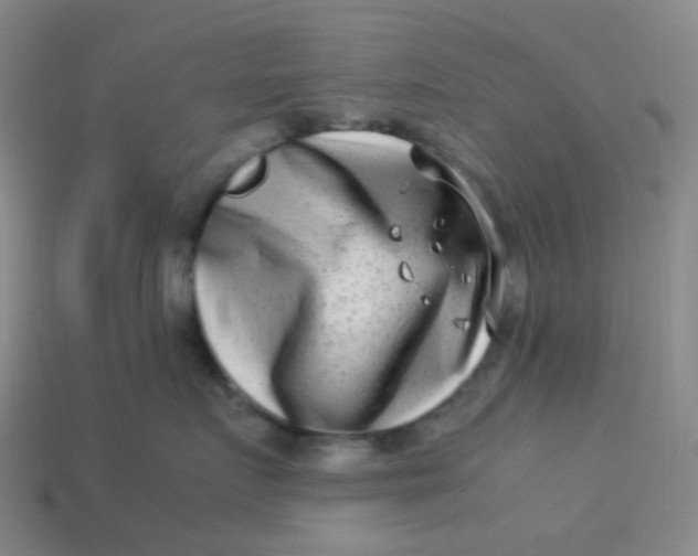 X0000113540719200910091243