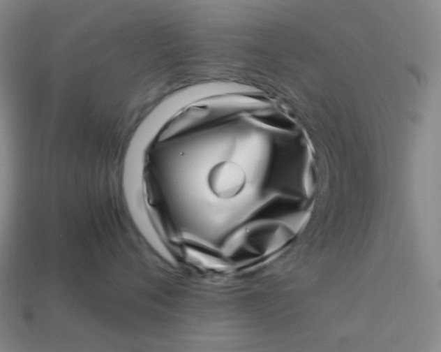 X0000113540720200910091243