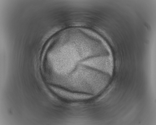 X0000113540721200910091242