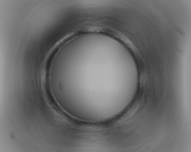 X0000113540722200910091242