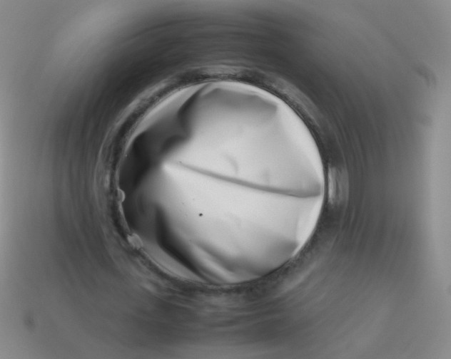 X0000113540723200910091242