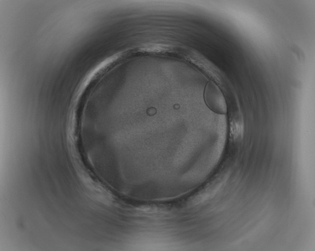 X0000113540724200910091242