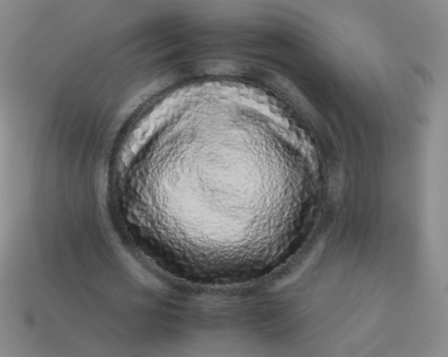 X0000113540725200910091242