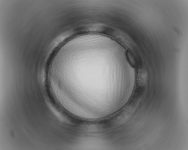 X0000113540726200910091242