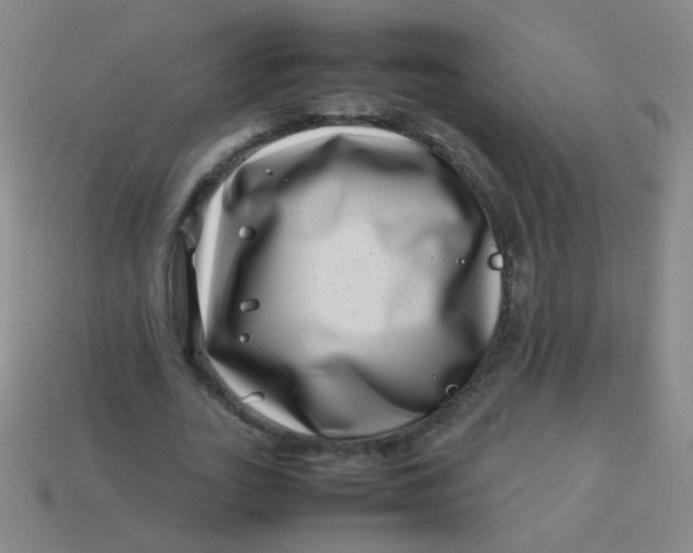 X0000113540727200910091243