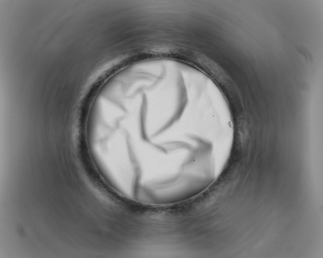 X0000113540728200910091243