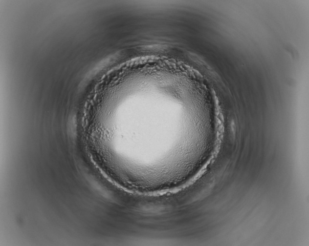 X0000113540729200910091243