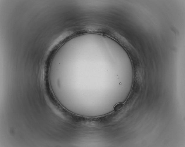 X0000113540730200910091243