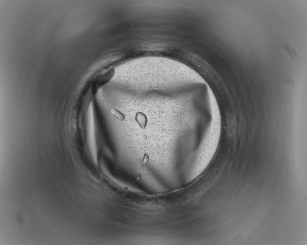 X0000113540731200910091243