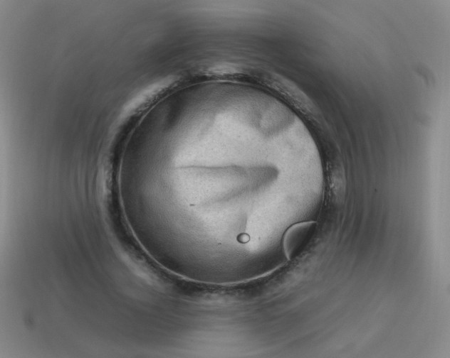 X0000113540732200910091243