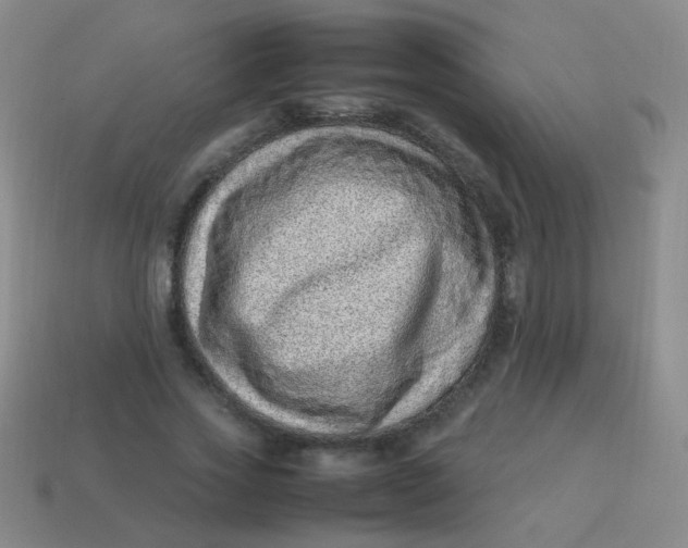 X0000113540733200910091243