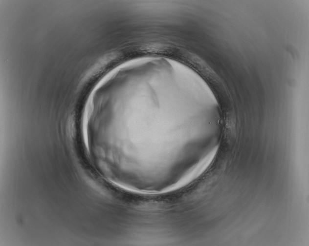 X0000113540734200910091243