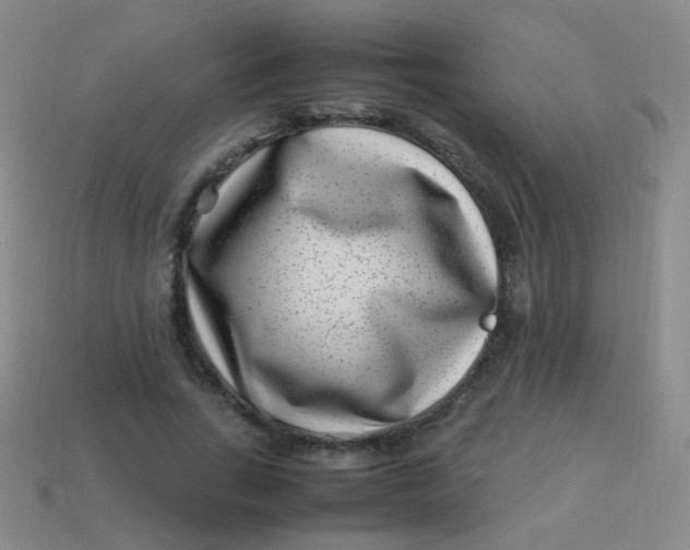 X0000113540735200910091243