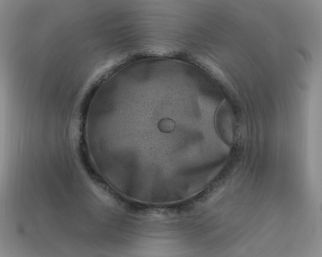 X0000113540736200910091243