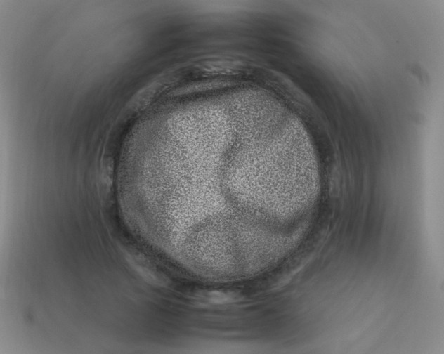 X0000113540737200910091243